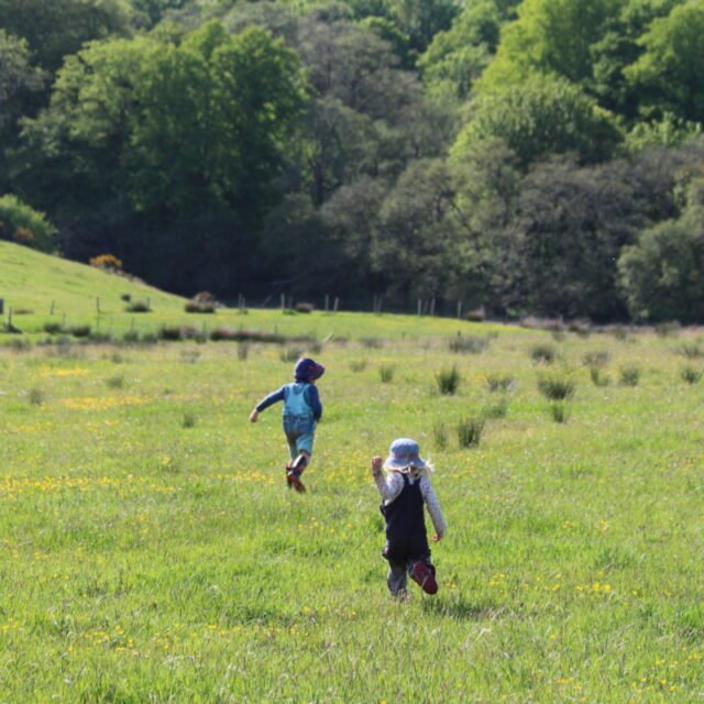 Auchgoyle Farm truly Wild Running Retreats
