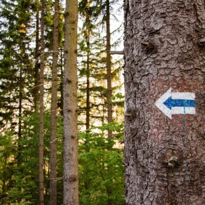 trail-marker-4266716_1280