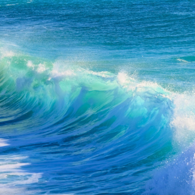 Ocean Day