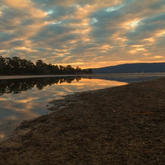 Australia Tasmania Tarkine